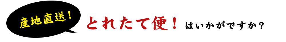 は届いてからのお楽しみとなります。
