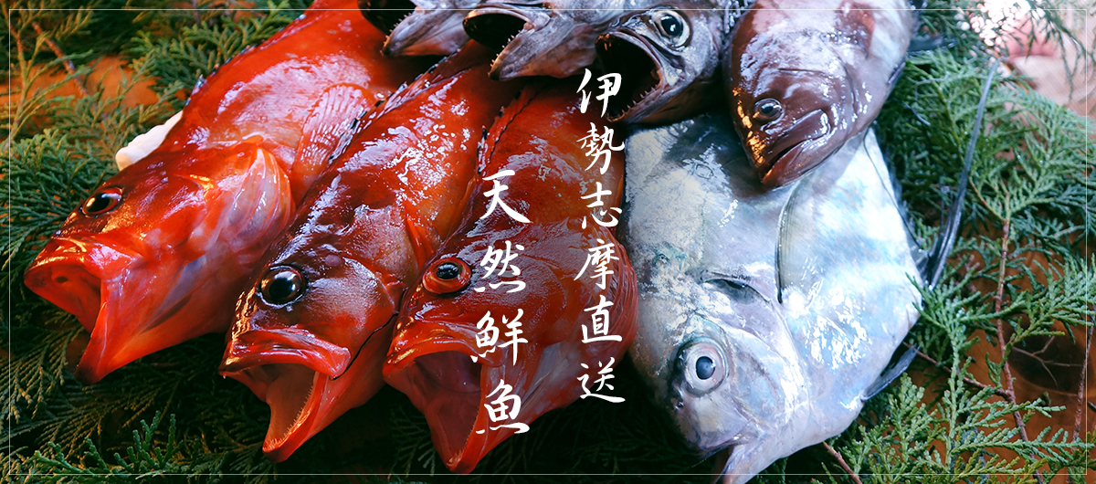 伊勢志摩直送天然鮮魚