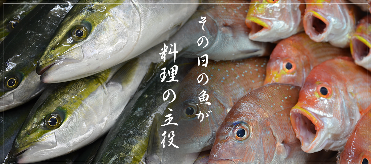 その日の魚が料理の主役